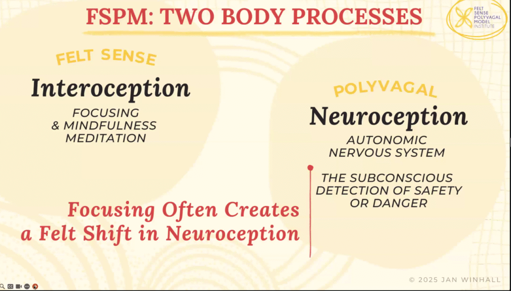 FSPM Two Body Processes 'Interoception' and 'Neuroception' from ©2025 ...